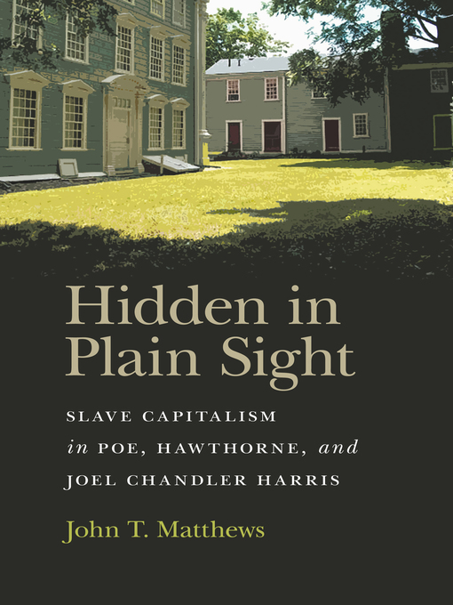 Title details for Hidden in Plain Sight by John T. Matthews - Available